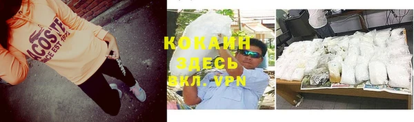 дурь Гусиноозёрск