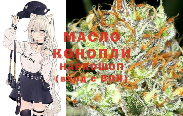 дурь Гусиноозёрск
