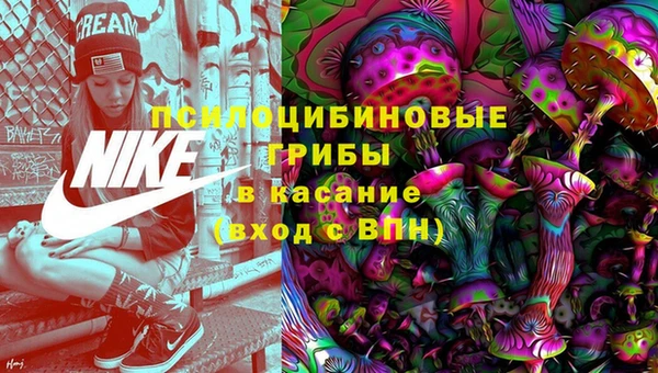 дурь Гусиноозёрск