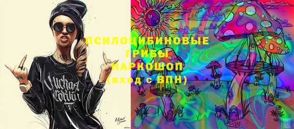 дурь Гусиноозёрск