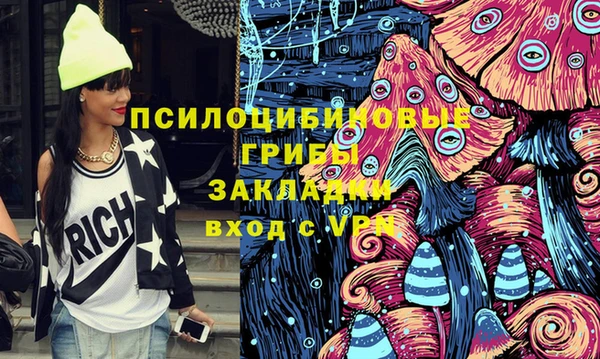 герыч Гусь-Хрустальный