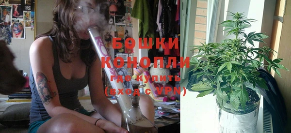 дурь Гусиноозёрск