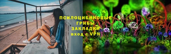 дурь Гусиноозёрск