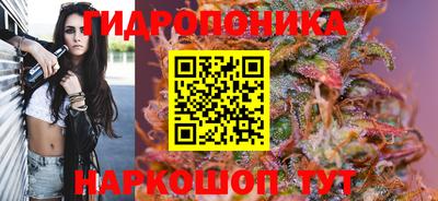 прущие грибы Жуковский