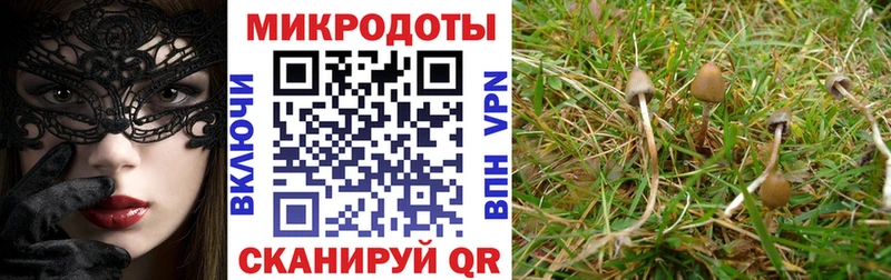 Псилоцибиновые грибы Magic Shrooms  Минеральные Воды 