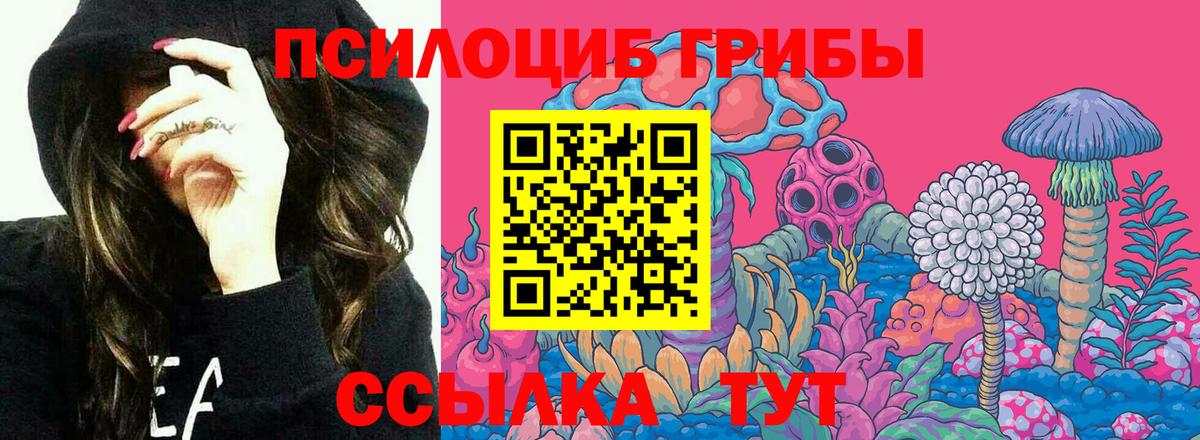 Псилоцибиновые грибы GOLDEN TEACHER  Минеральные Воды 