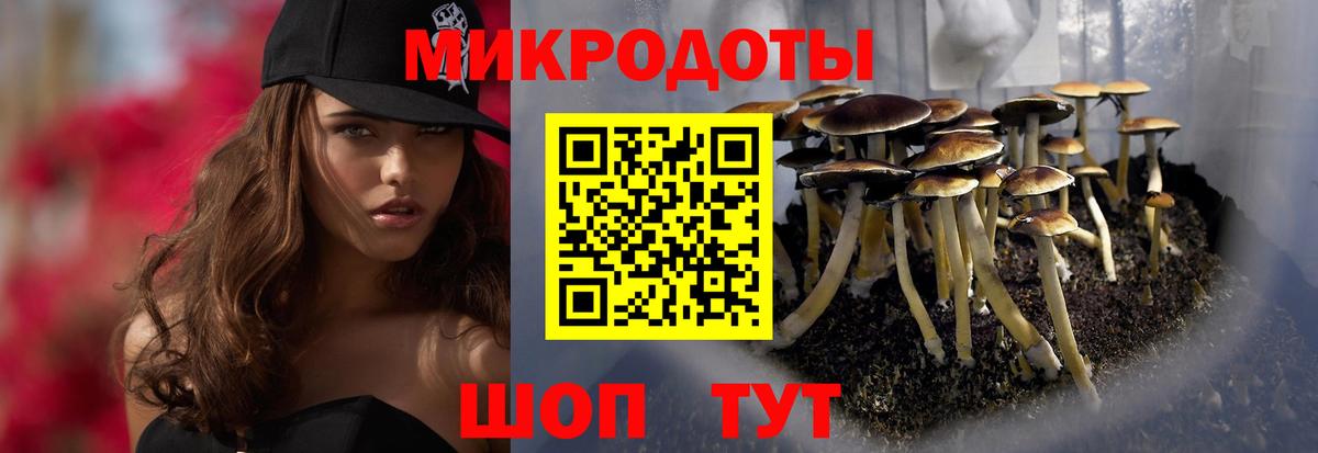 Галлюциногенные грибы Cubensis  Вход с VPN  Минеральные Воды 